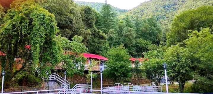 Aaroham Resort Shimla ! Luxury Cottage By Aamod Group Exterior photo