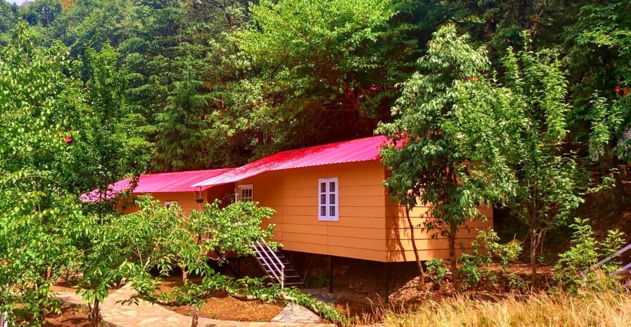 Aaroham Resort Shimla ! Luxury Cottage By Aamod Group Exterior photo